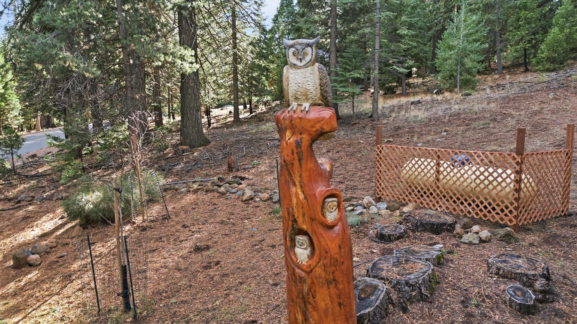 1017 Timber Ridge Road Lake Almanor, CA 96137 - Photo 41 of 45 a view of a yard with iron fence and trees