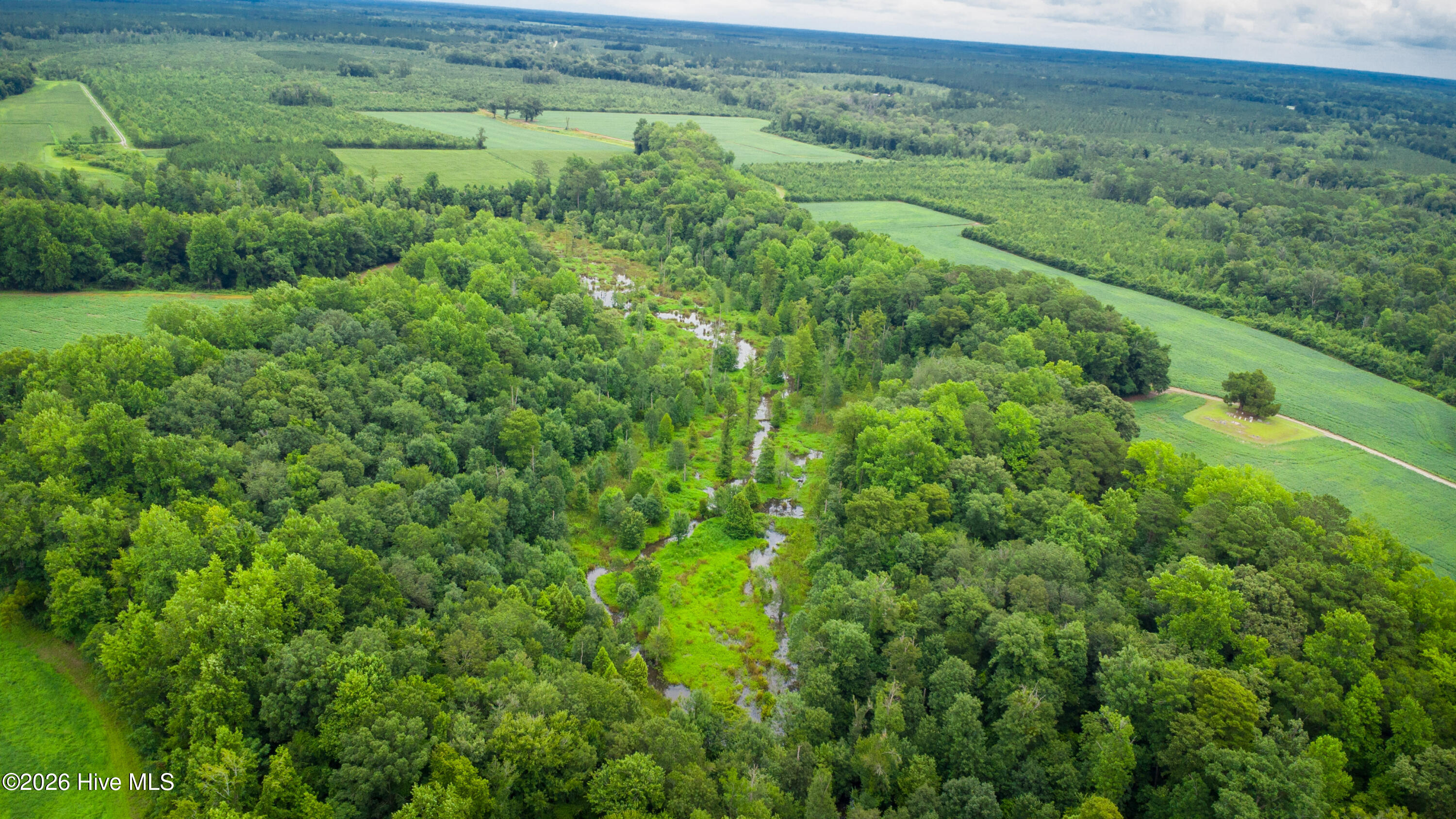 1601 Hill Neck Road Ernul, NC 28527 - Photo 8 of 33 Over 230 Acres of Opportunity