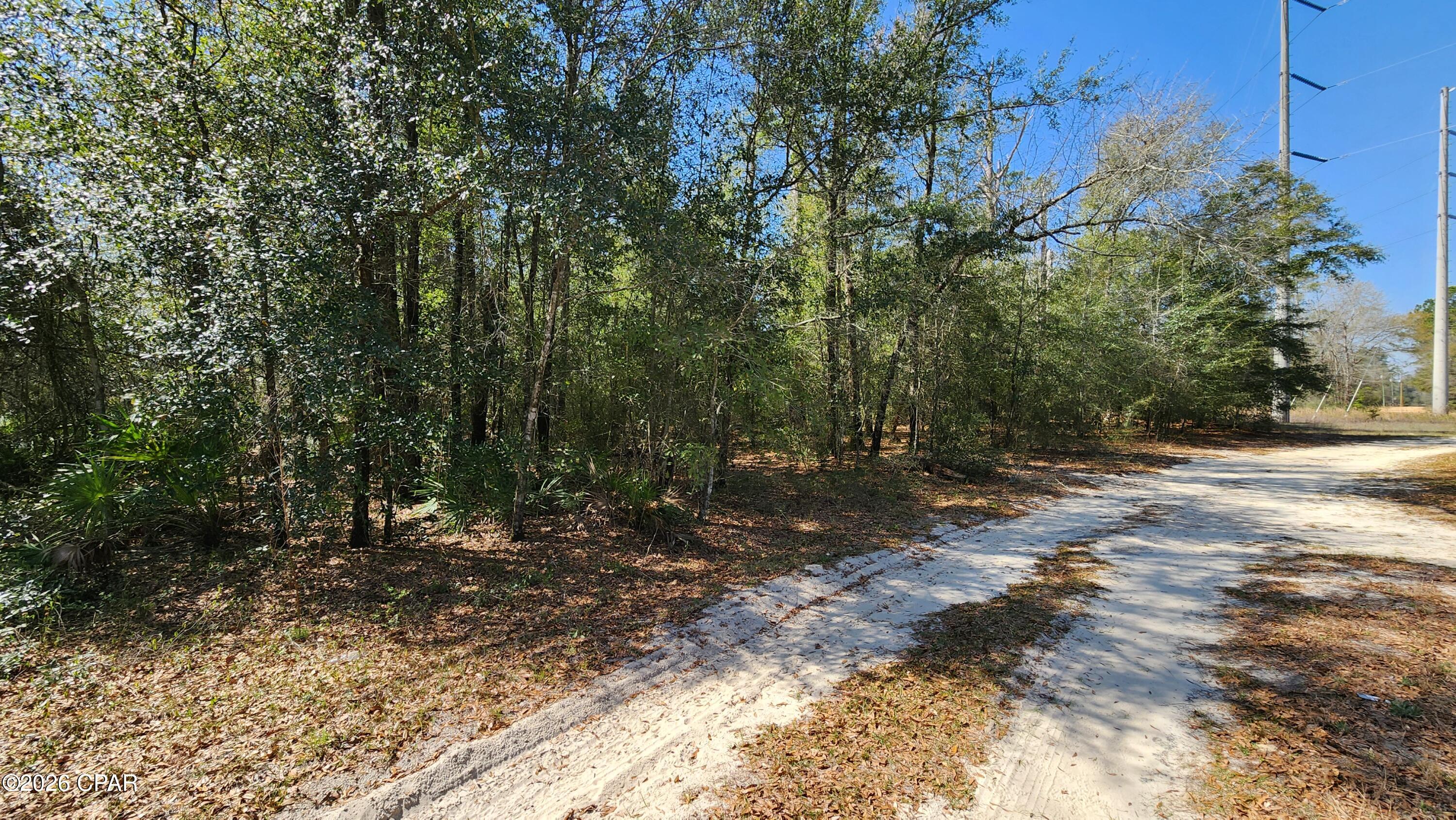 0 Edgewood Road Fountain, FL 32438 - Photo 10 of 10