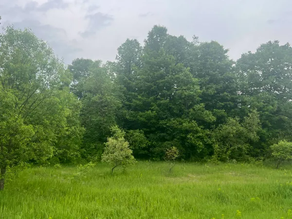 $37,000 | 0 Wood Road Northeast, Mancelona, MI 49659