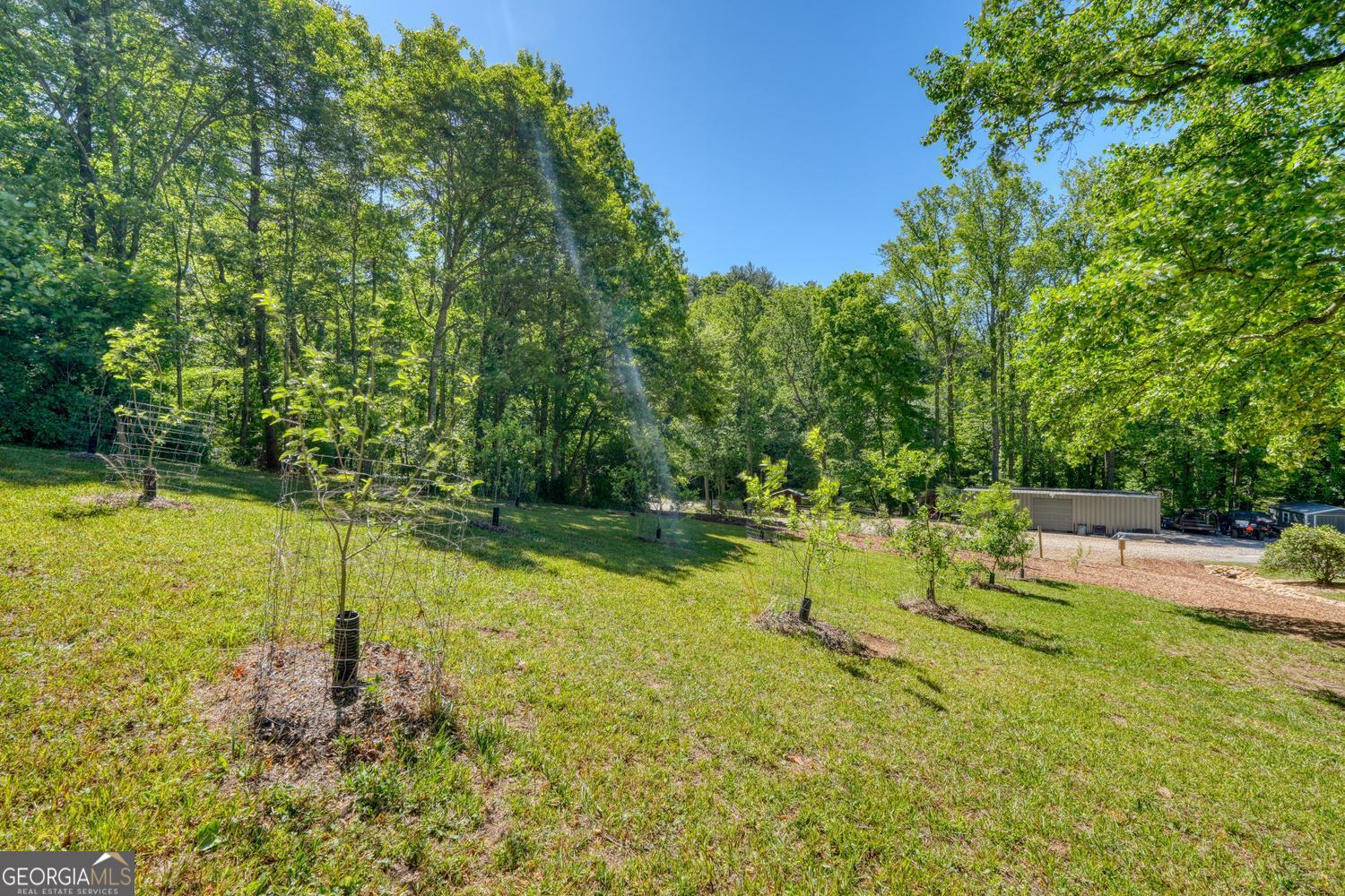 4836 Owltown Road Blairsville, GA 30512 - Photo 61 of 95