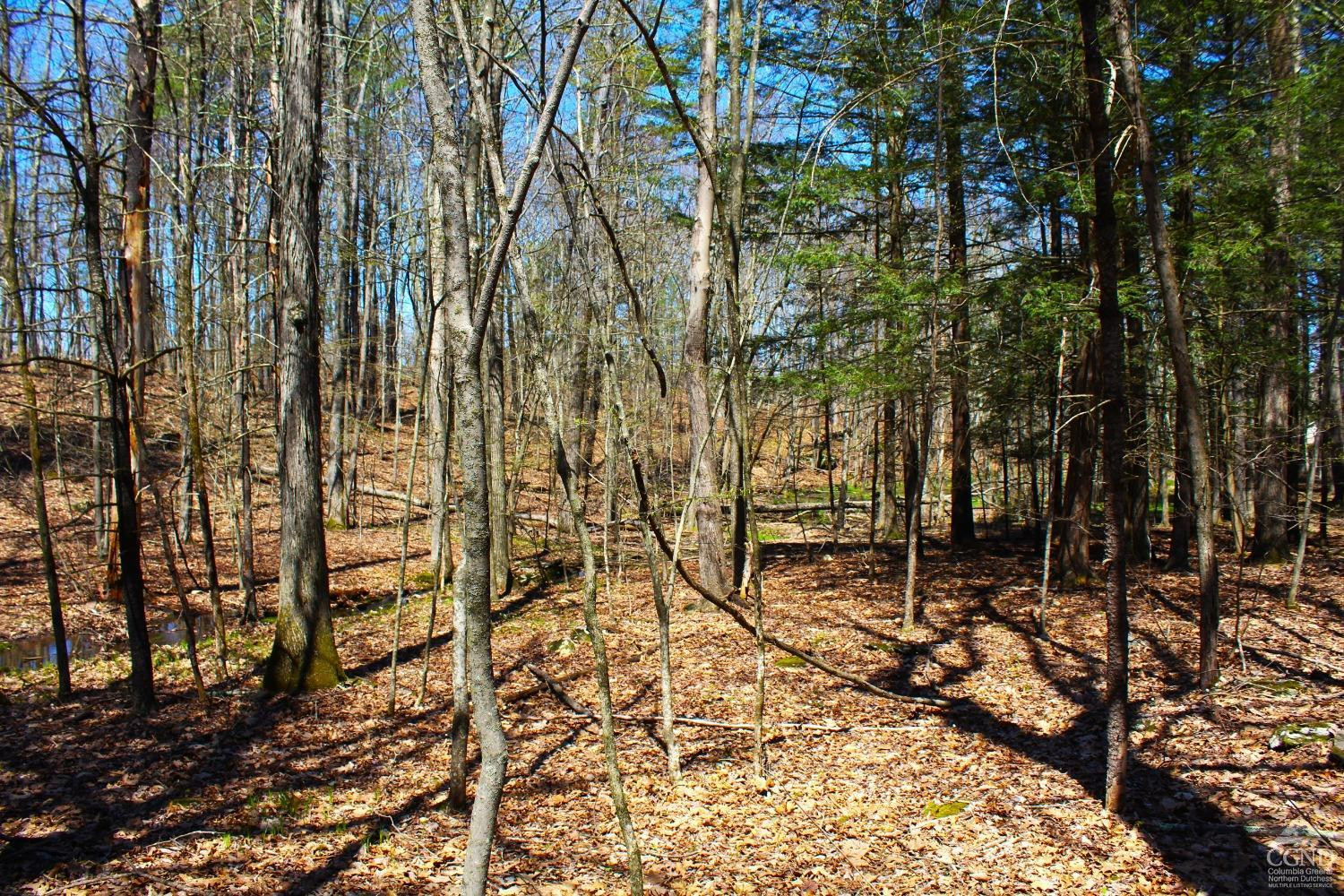 0 Paradise Lake Road Catskill, NY 12414 - Photo 5 of 17 a backyard of a house with lots of green space