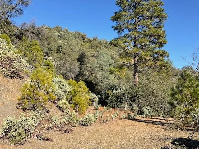 $169,000 | 1445 Gallows Road, Murphys, CA 95247