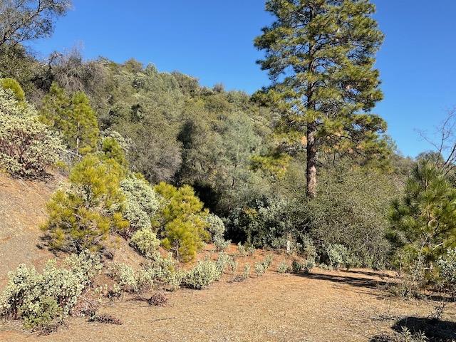 1445 Gallows Road Murphys, CA 95247 - Photo 4 of 11