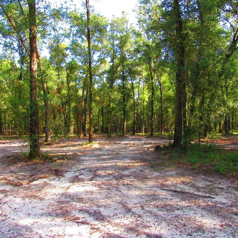 Hidden Woods Road Brooksville, FL 34601 - Photo 1 of 1 Gallery Image 1