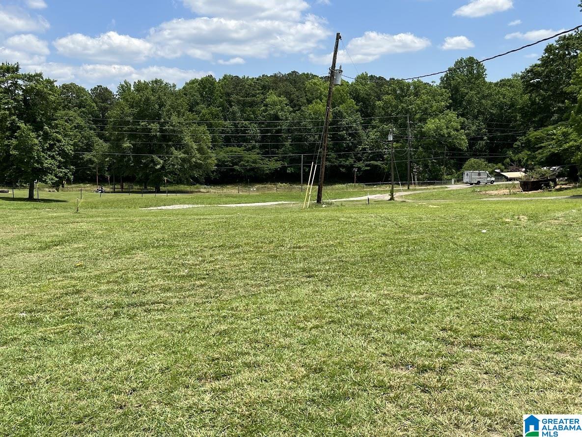 3716 Mt Olive Road Mount Olive, AL 35117 - Photo 27 of 27
