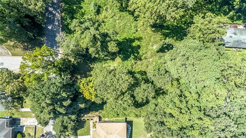 1427 Andrews Street Northwest Atlanta, GA 30314 - Photo 3 of 8 a view of a lush green forest with lots of trees