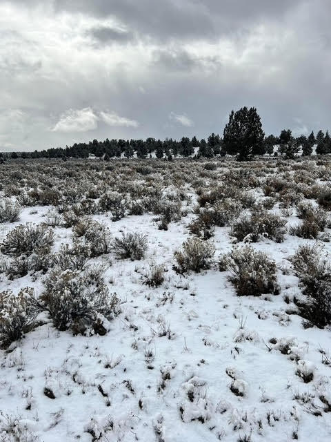 6520 Do Bend, OR 97701 - Photo 16 of 22 unnamed-2