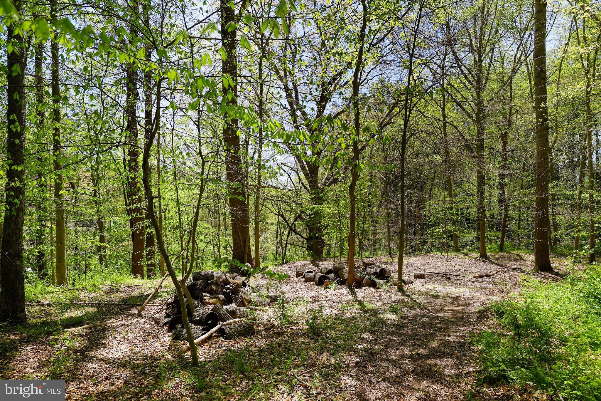 2920 Harford Road Fallston, MD 21047 - Photo 50 of 55
