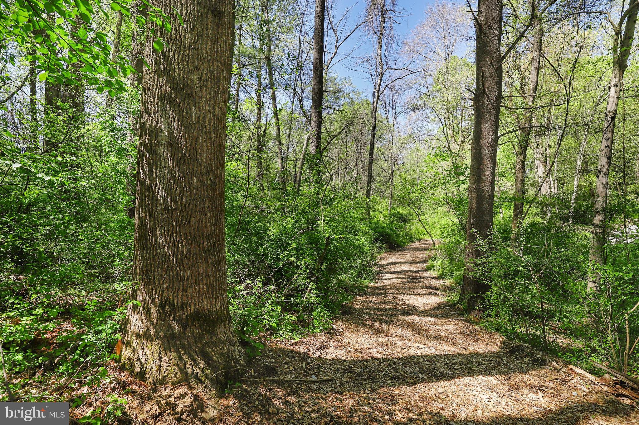 2920 Harford Road Fallston, MD 21047 - Photo 52 of 55