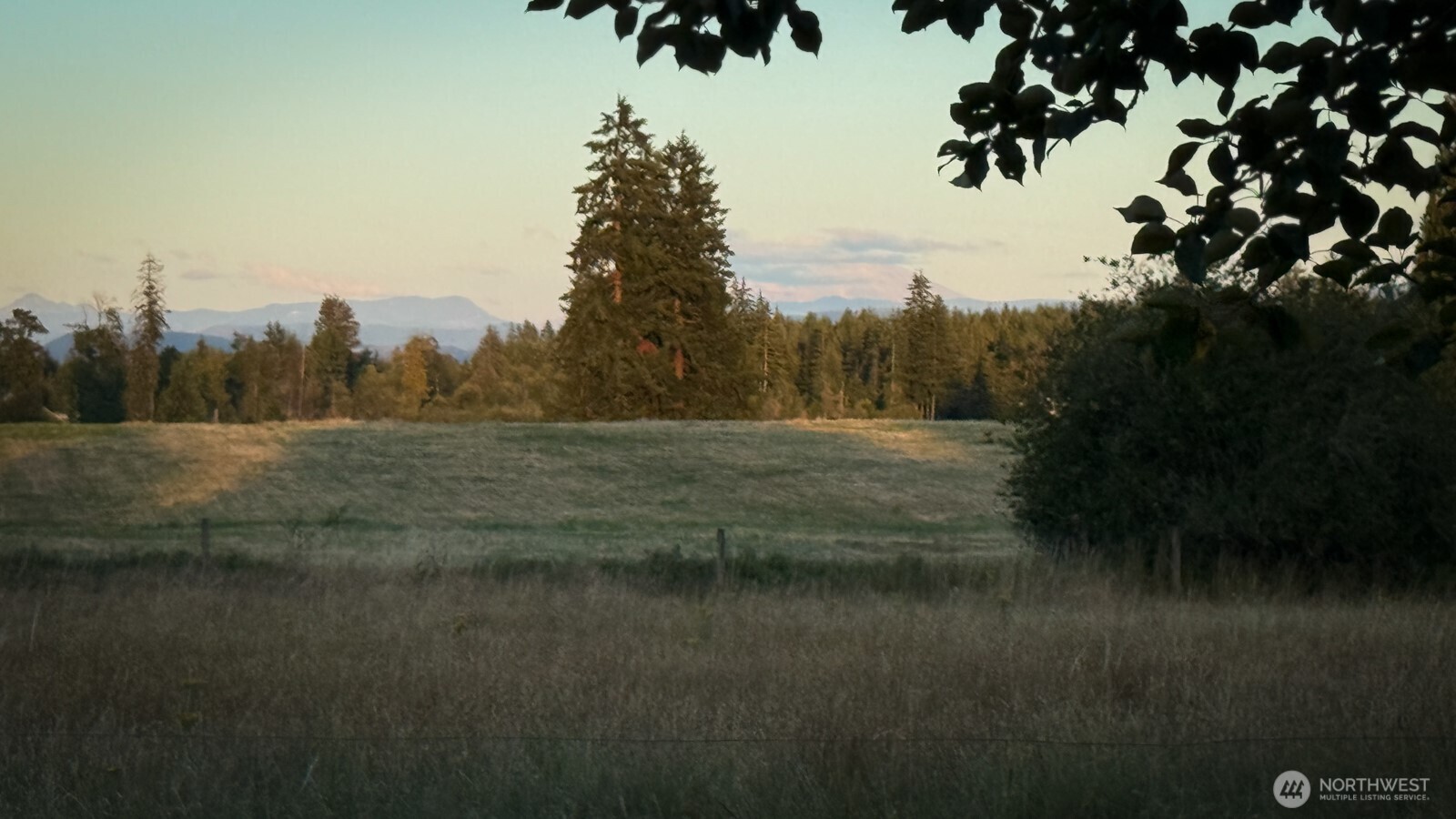 179 Bay Road Winlock, WA 98596 - Photo 7 of 40 Gallery Image 7