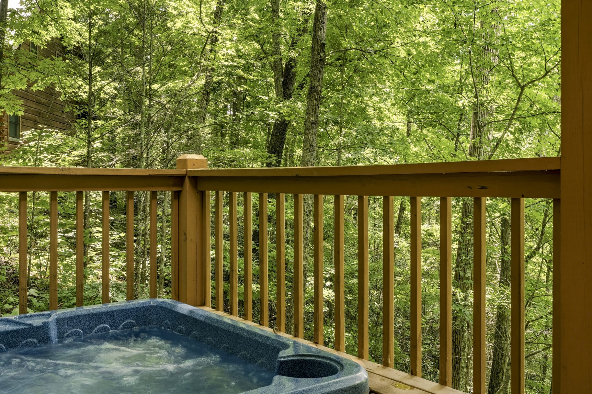 820 Pinnacle Vista Road Gatlinburg, TN 37738 - Photo 20 of 31