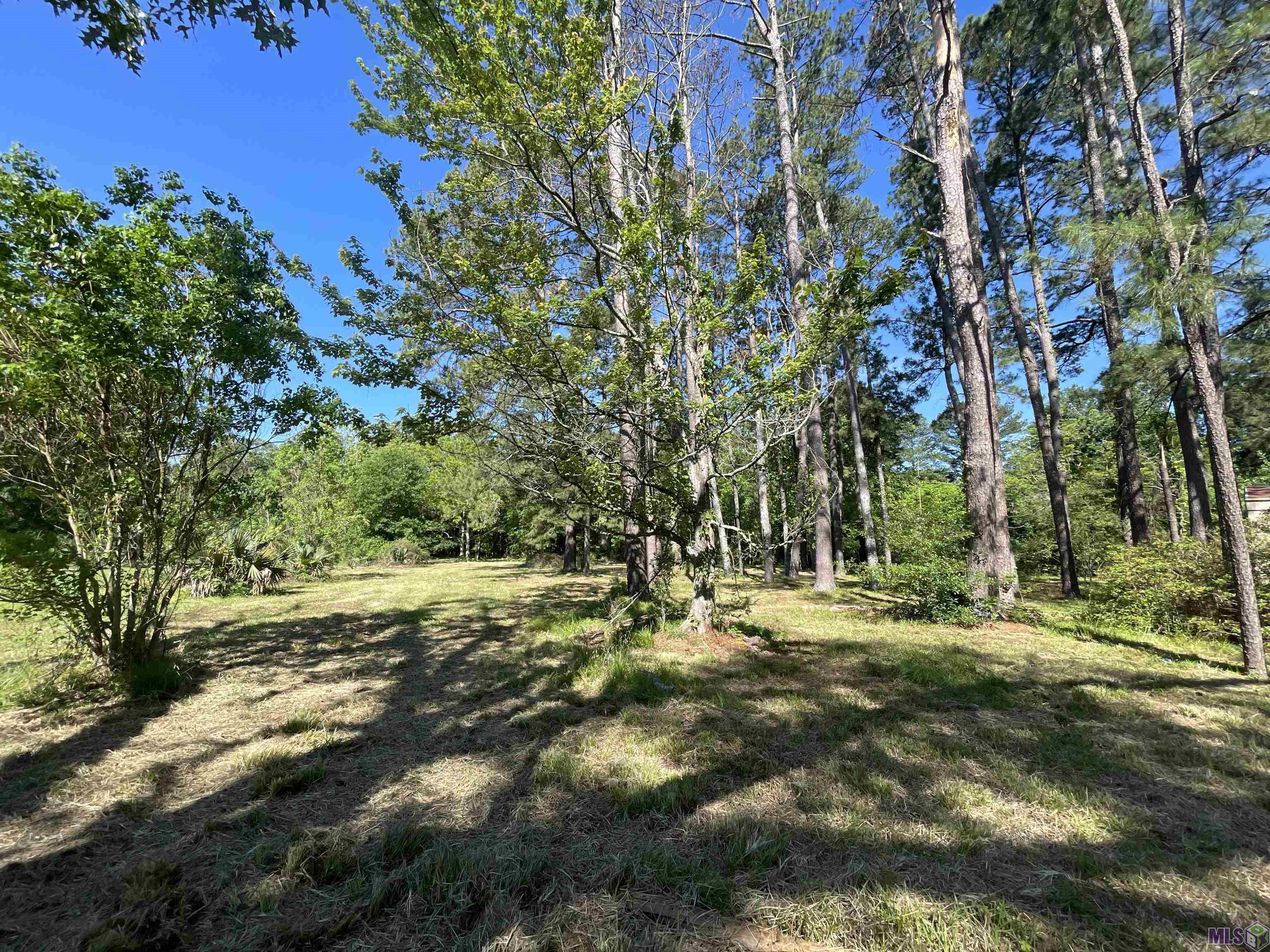 11115 Sullivan Road Central, LA 70818 - Photo 9 of 10