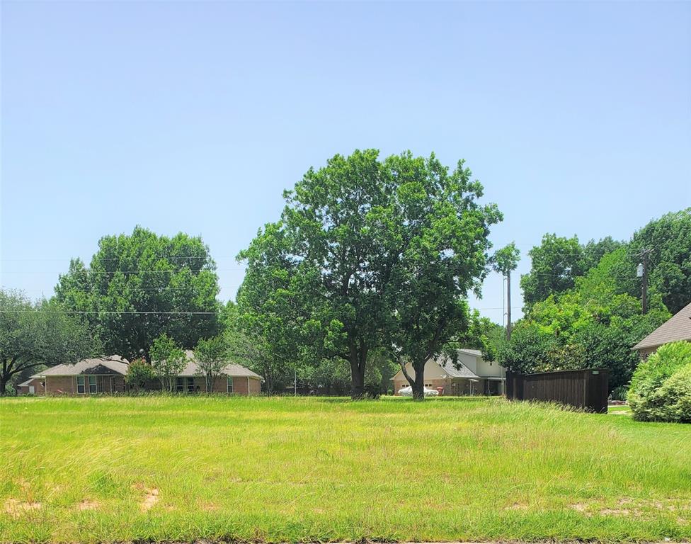 a view of a big yard with a large trees