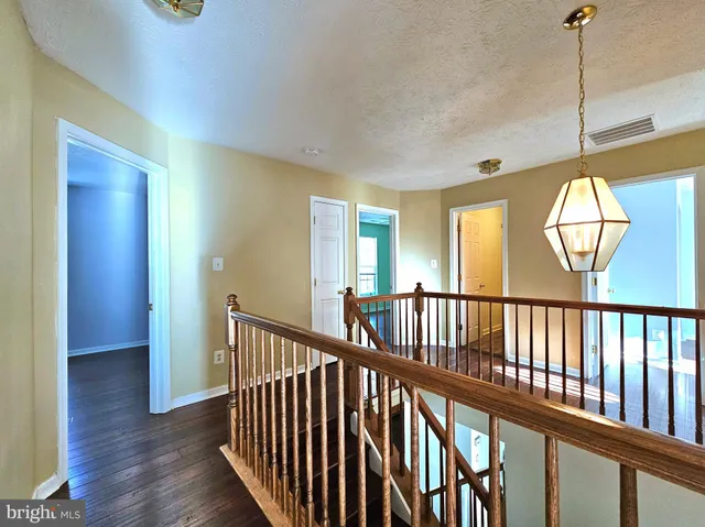 a view of a house with a small yard and a large tree