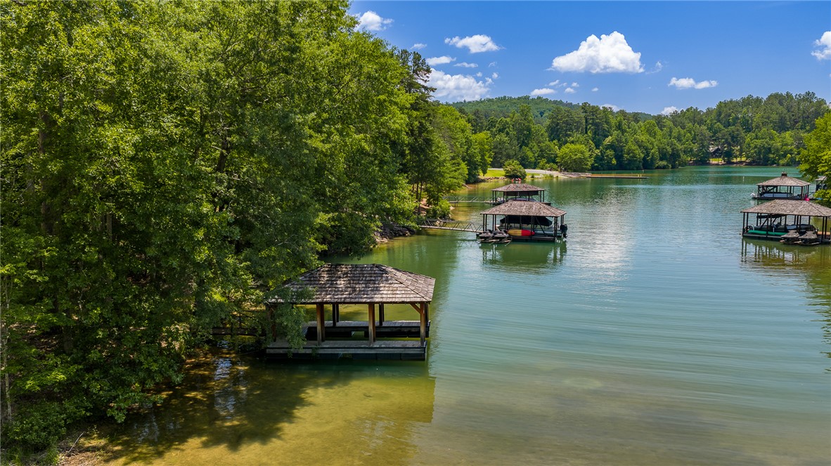 166 Ellenburg Creek Road Sunset, SC 29685 - Photo 4 of 20 A tranquil lake view just steps from walk-out basement and pool area.
