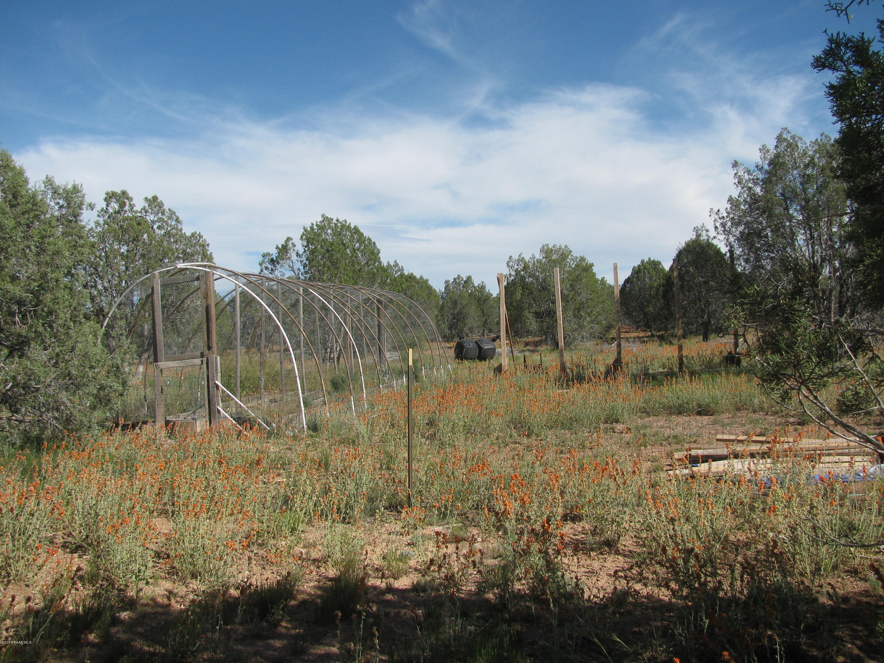 281 Bullock Road Ash Fork, AZ 86320 - Photo 26 of 34 Garden & Dog Run