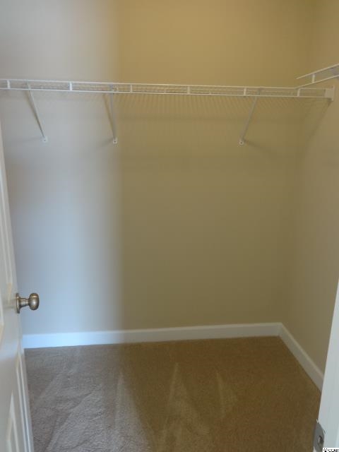 116 Molinia Drive Murrells Inlet, SC 29576 - Photo 12 of 23