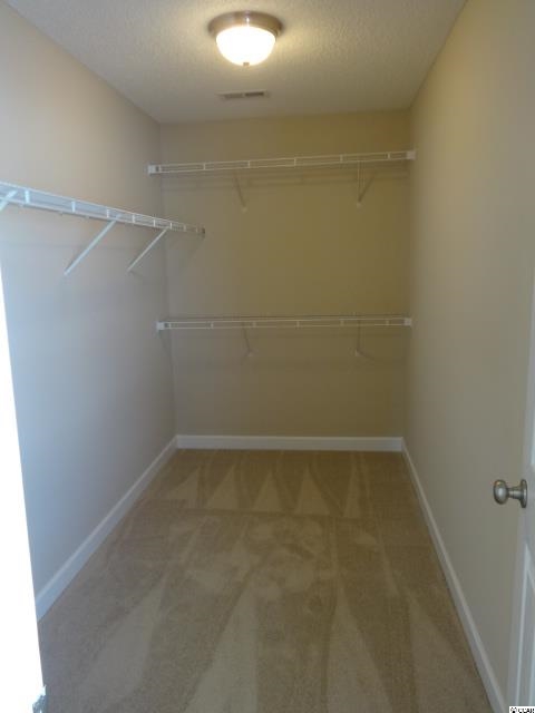 116 Molinia Drive Murrells Inlet, SC 29576 - Photo 20 of 23