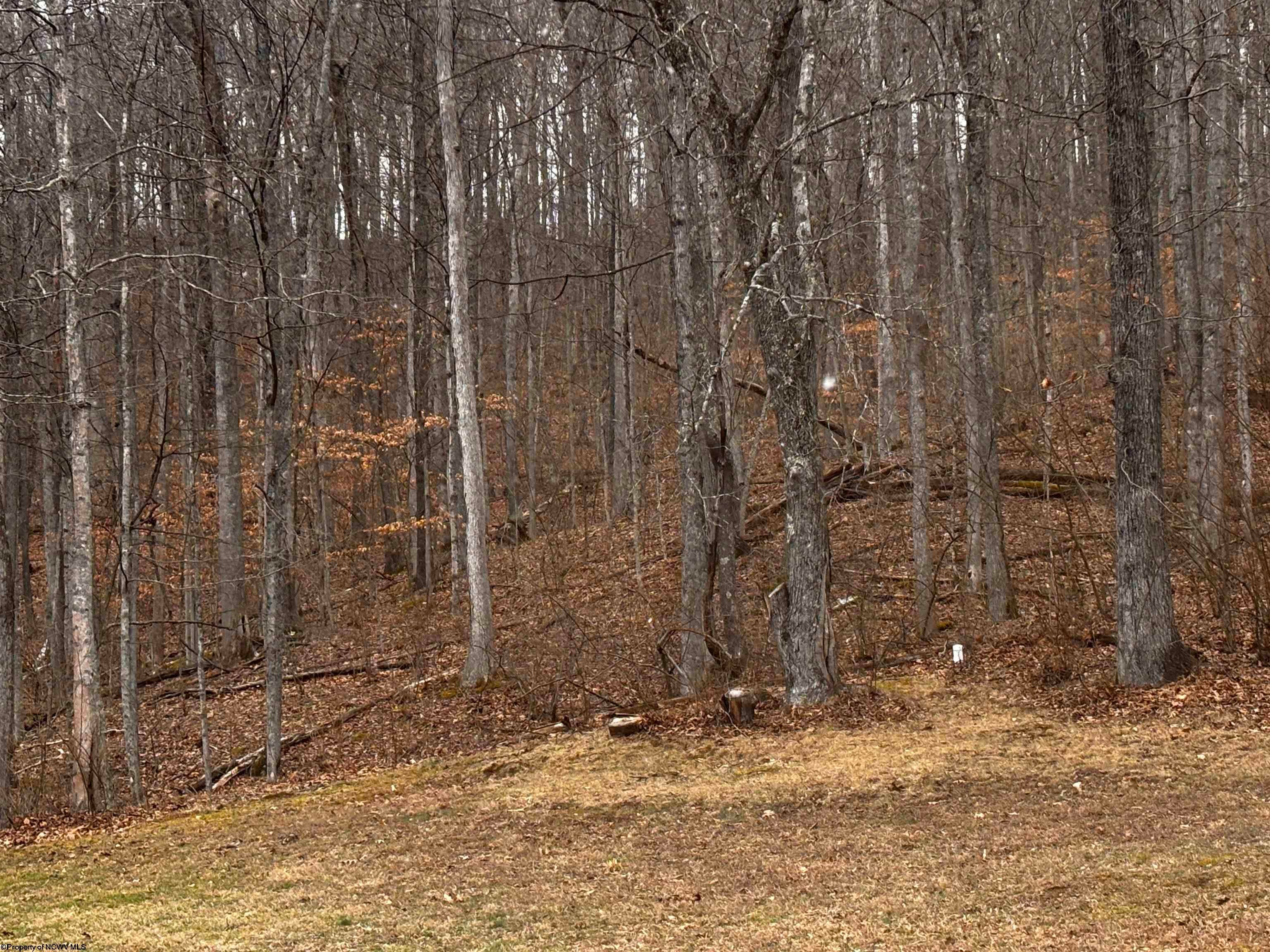 5055 Maxwell Ridge West Union, WV 26456 - Photo 8 of 34 Gallery Image 8