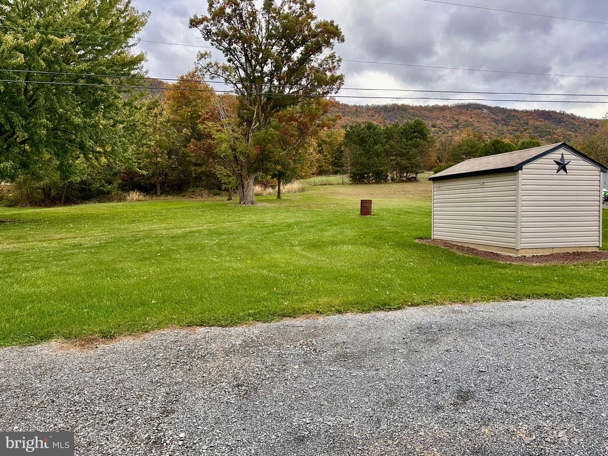 7488 Dusty Road Mercersburg, PA 17236 - Photo 6 of 27 a view of a backyard with large trees
