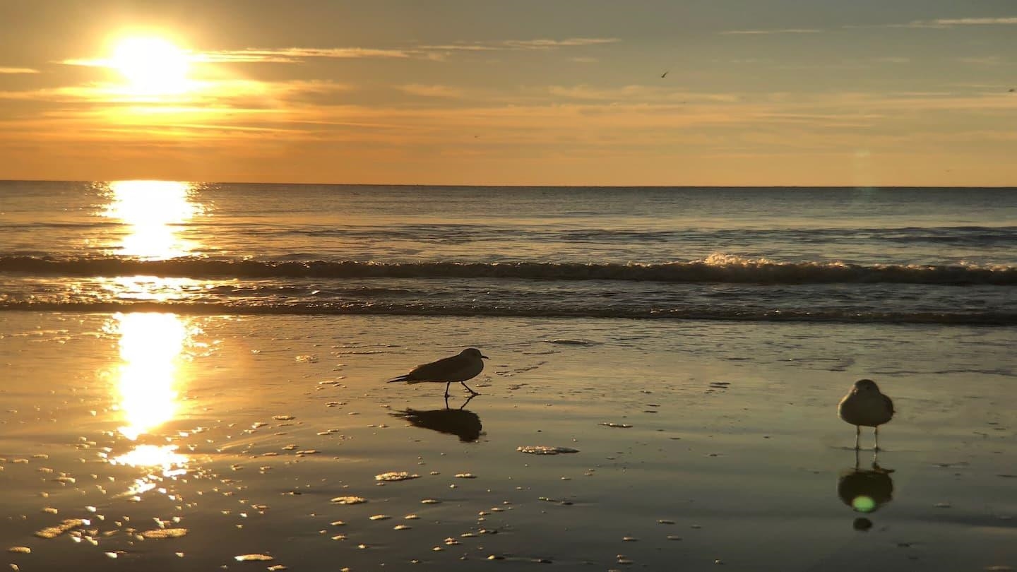 1207 South Ocean Boulevard, Unit 20809 Myrtle Beach, SC 29577 - Photo 16 of 19 Property view of water with a view of the beach
