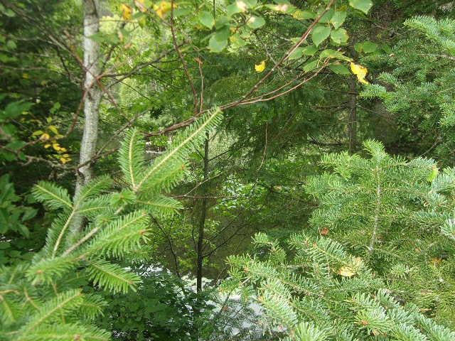 Lot 4 Allyn Road Mercer, WI 54547 - Photo 19 of 20 Gallery Image 19