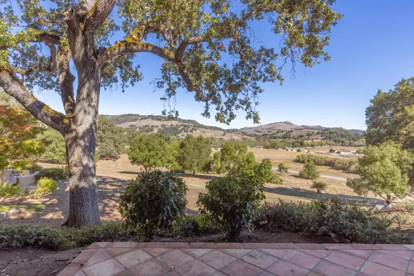 a view of a yard with a tree