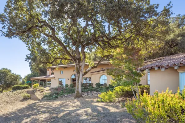 a front view of a house with a tree