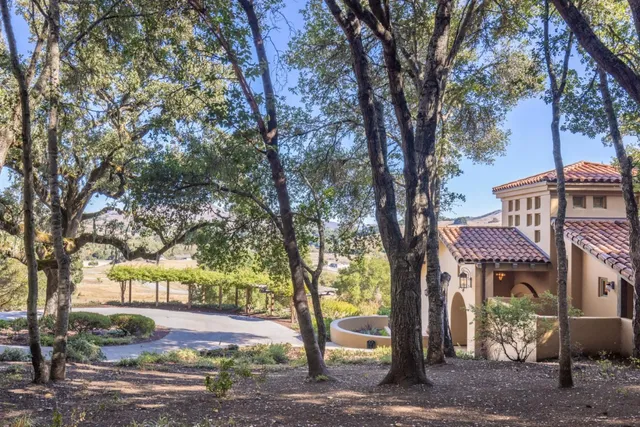 a view of a street with a tree