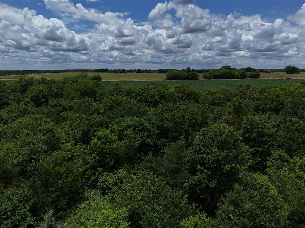 203 Fm 2675 Cooper, TX 75432 - Photo 10 of 17 a view of outdoor space and yard