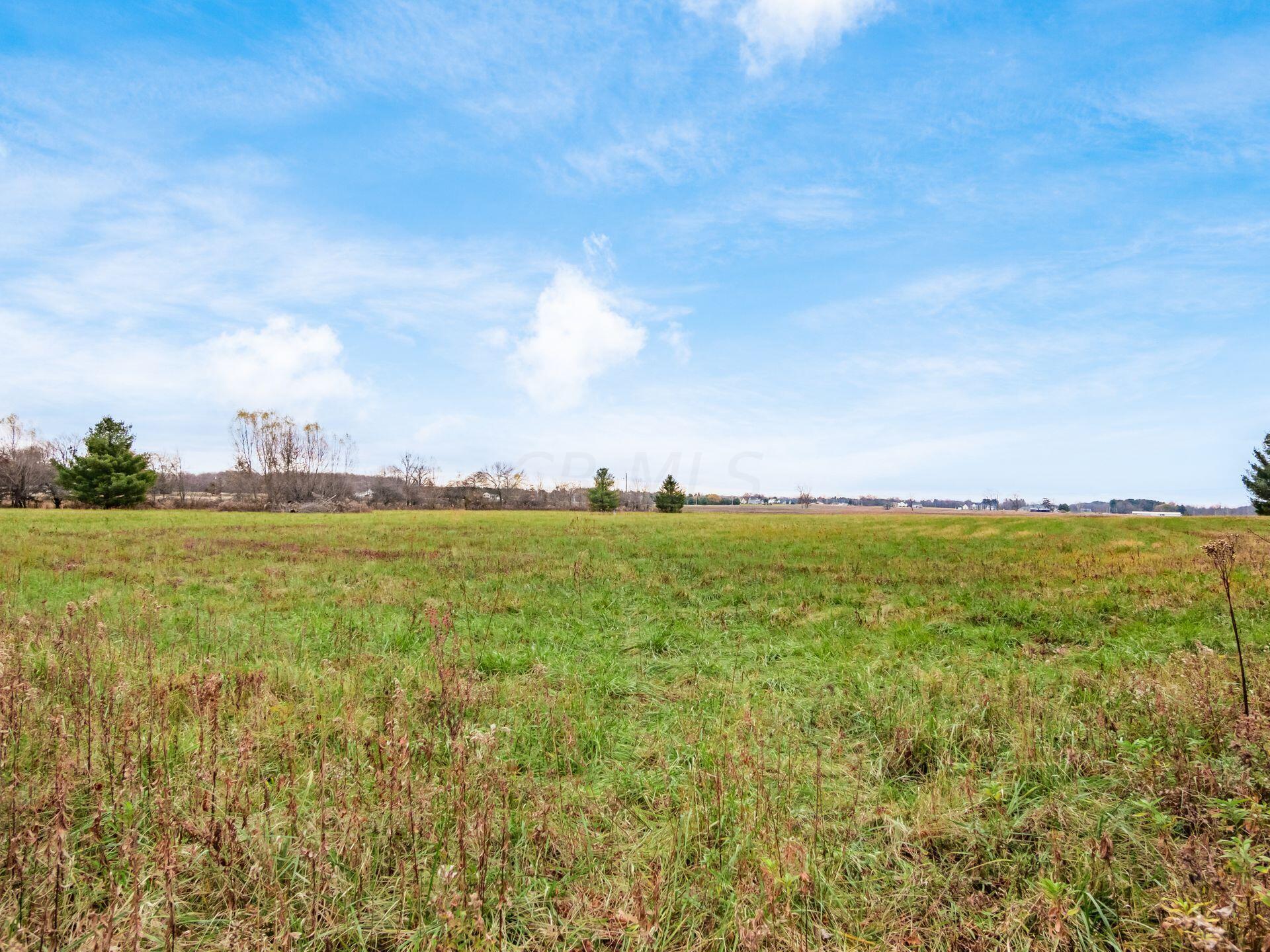 2218 Green Cook Road Galena, OH 43021 - Photo 86 of 86 front pasture