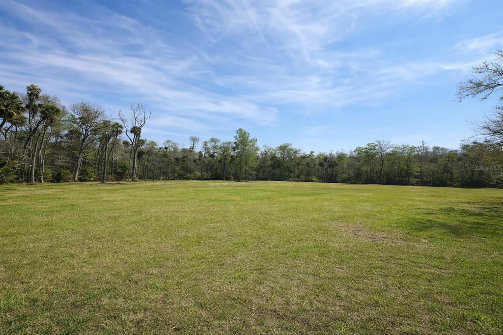 0 South Goodman Road Davenport, FL 33896 - Photo 5 of 8 a view of a field with trees