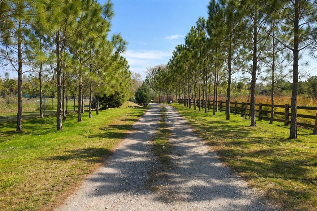 0 South Goodman Road Davenport, FL 33896 - Photo 6 of 8 a view of a park