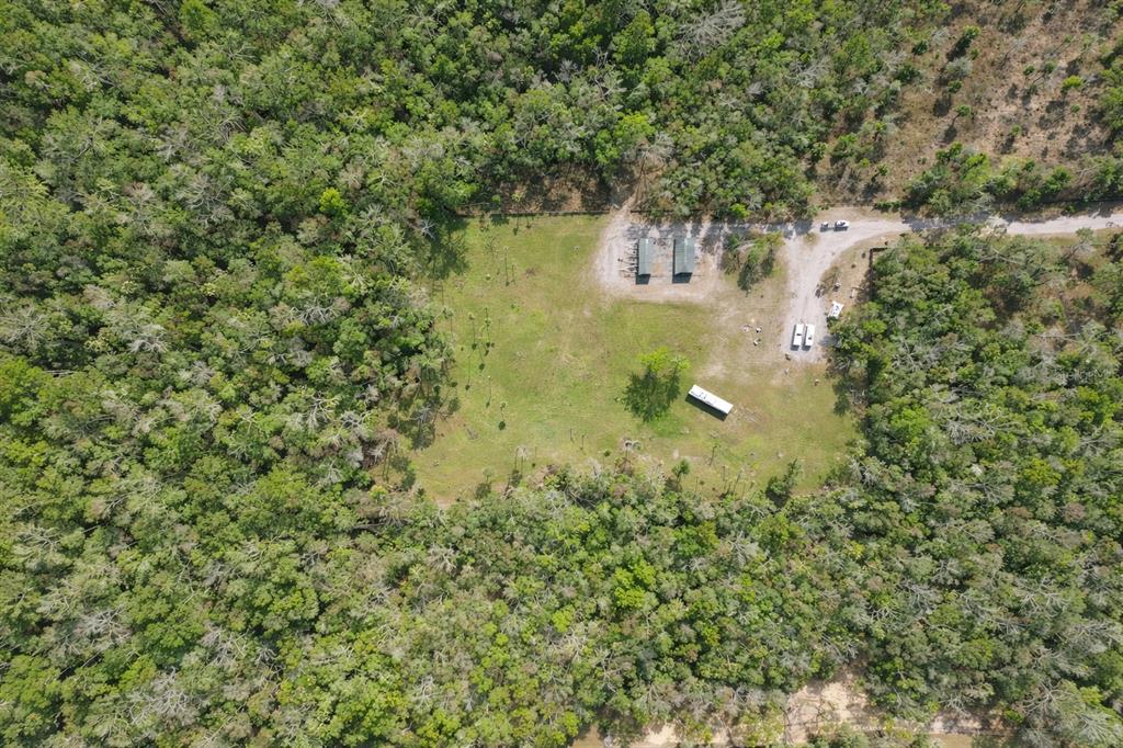 0 South Goodman Road Davenport, FL 33896 - Photo 7 of 8 a view of a yard with plants and large trees