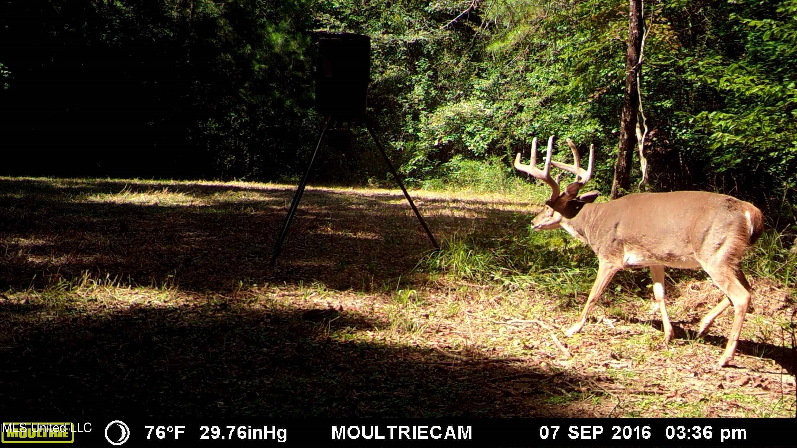 Breeden Road Utica, MS 39175 - Photo 20 of 47 20