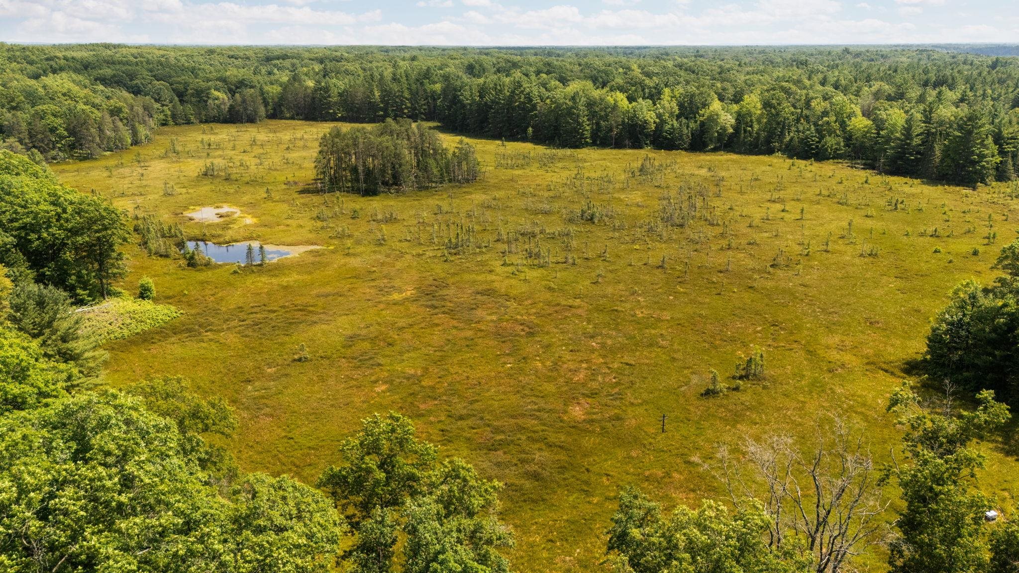 47 South 47 3/4 Road Cadillac, MI 49601 - Photo 36 of 51 Gallery Image 36