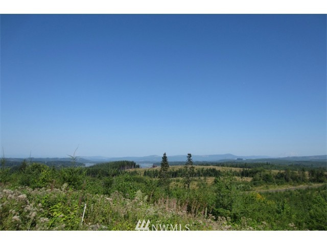 9 Silver Ridge Castle Rock, WA 98611 - Photo 1 of 1