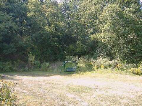 113 Mary Reed Road Economy, PA 15005 - Photo 8 of 8 Yard/Garden.