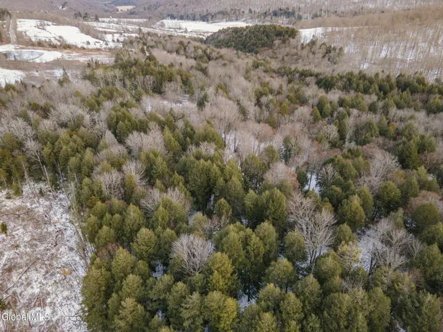 $1,200,000 | 320 Merchant Road, Jefferson, NY 12093