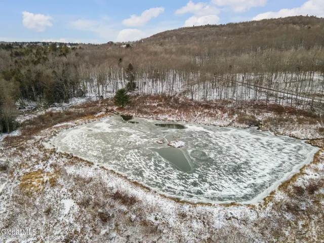 $1,200,000 | 320 Merchant Road, Jefferson, NY 12093