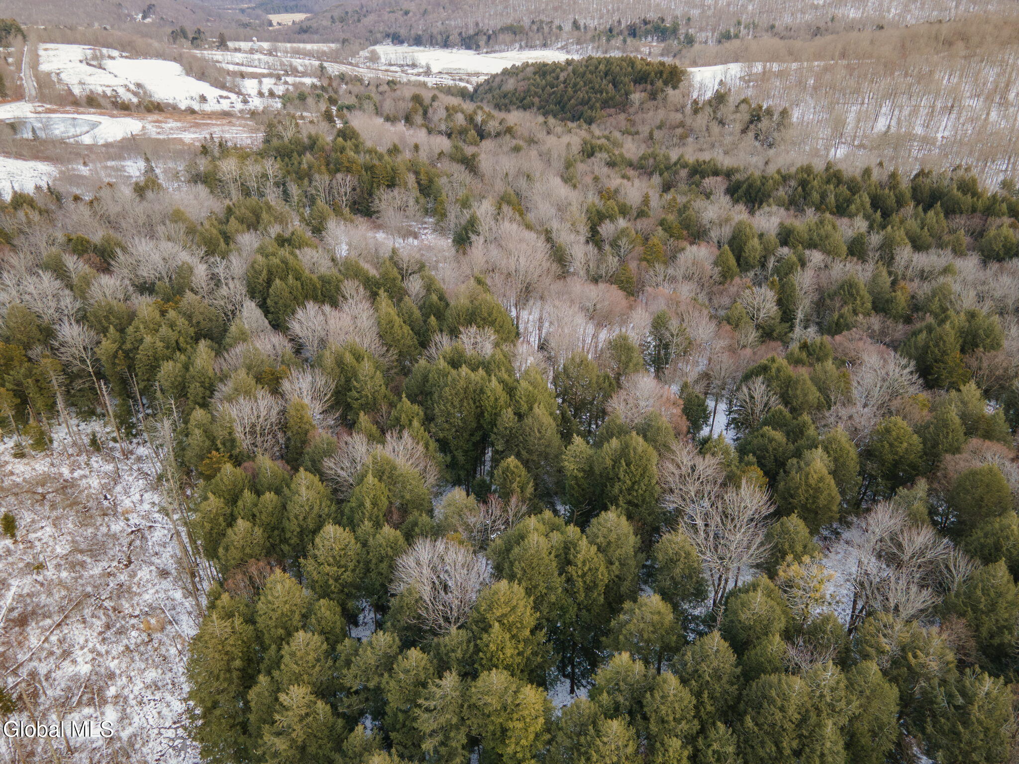 320 Merchant Road Jefferson, NY 12093 - Photo 55 of 62 62-320MerchantRd_62