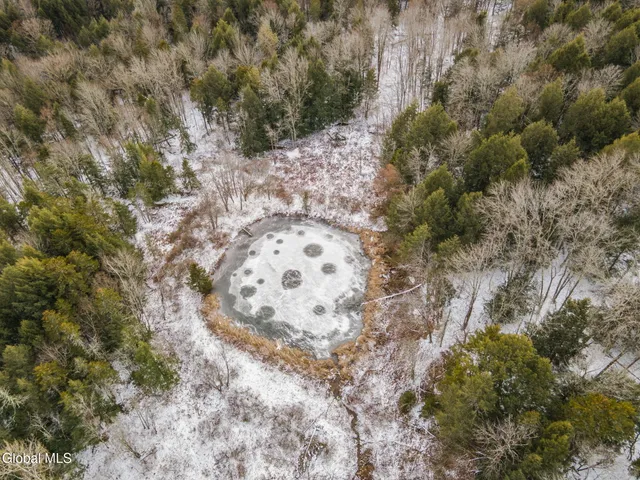 $1,200,000 | 320 Merchant Road, Jefferson, NY 12093