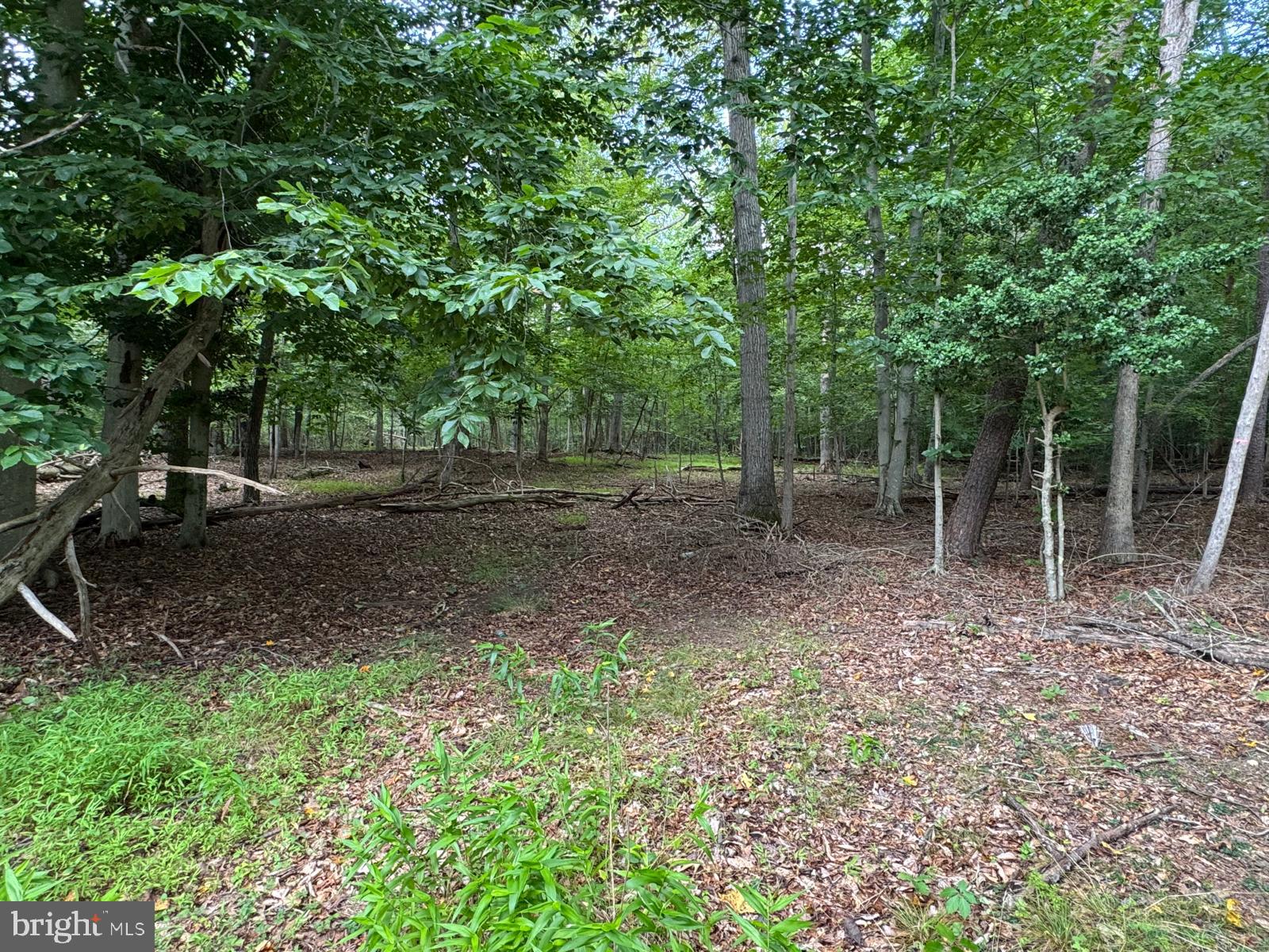 1901 Accokeek Road West Accokeek, MD 20607 - Photo 1 of 7