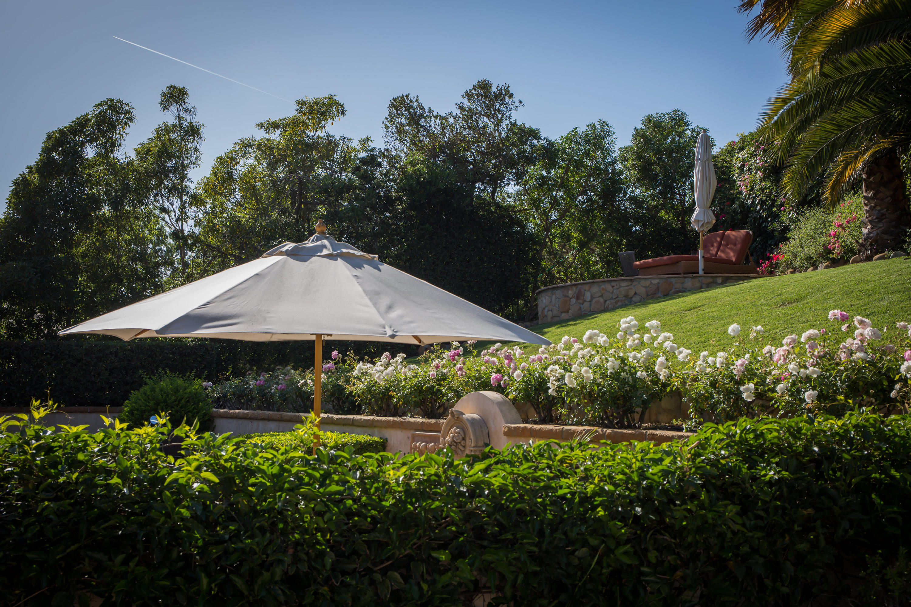 1810 Mission Ridge Road Santa Barbara, CA 93103 - Photo 23 of 30 a view of a garden with large trees