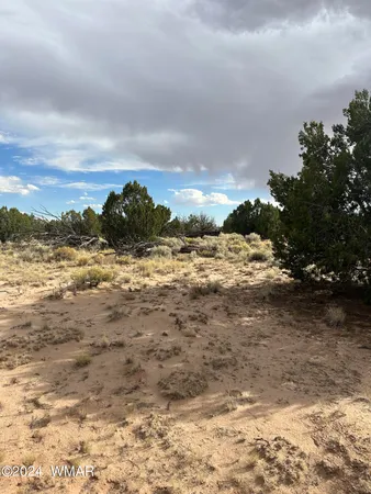 $58,000 | N7273 St St-johns Az 85936, St. Johns, AZ 85936