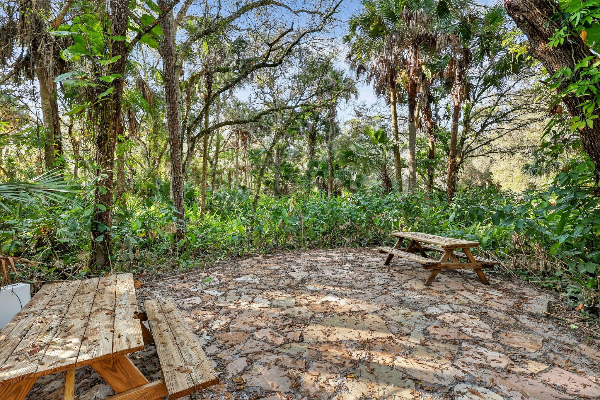 4502 Southwest Wild Turkey Road Okeechobee, FL 34974 - Photo 23 of 33 56-web-or-mls-7R7A5947