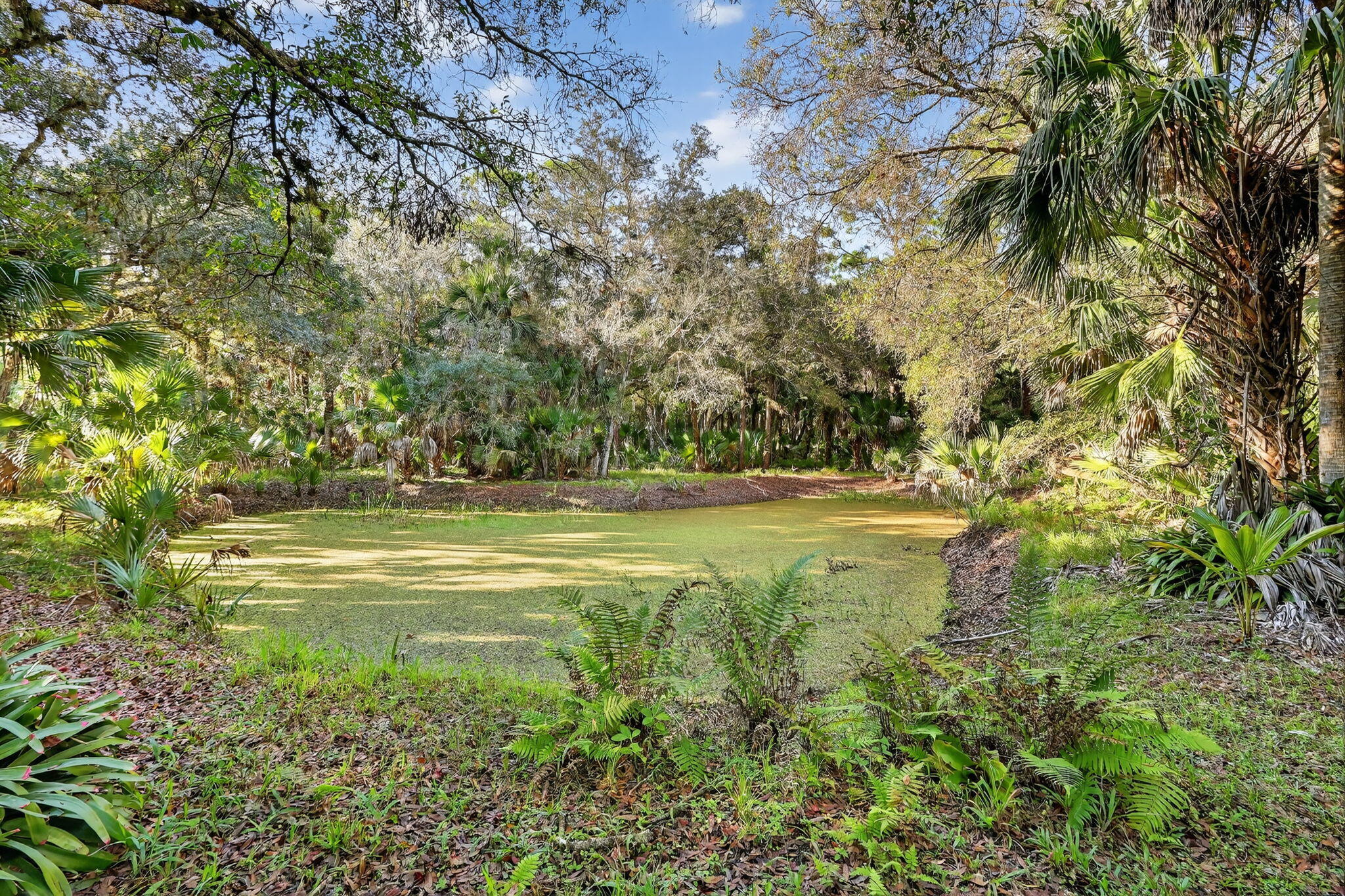 4502 Southwest Wild Turkey Road Okeechobee, FL 34974 - Photo 24 of 33 58-web-or-mls-7R7A5957