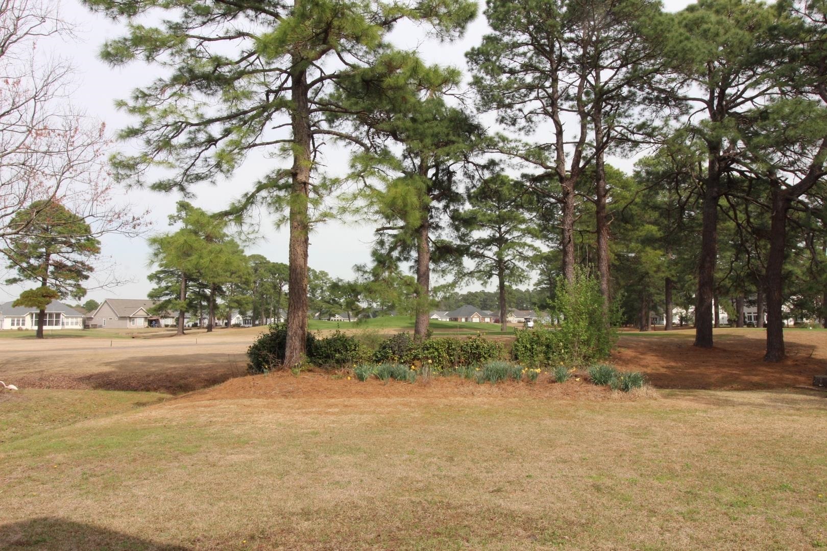 542 Sand Ridge Road Conway, SC 29526 - Photo 5 of 45