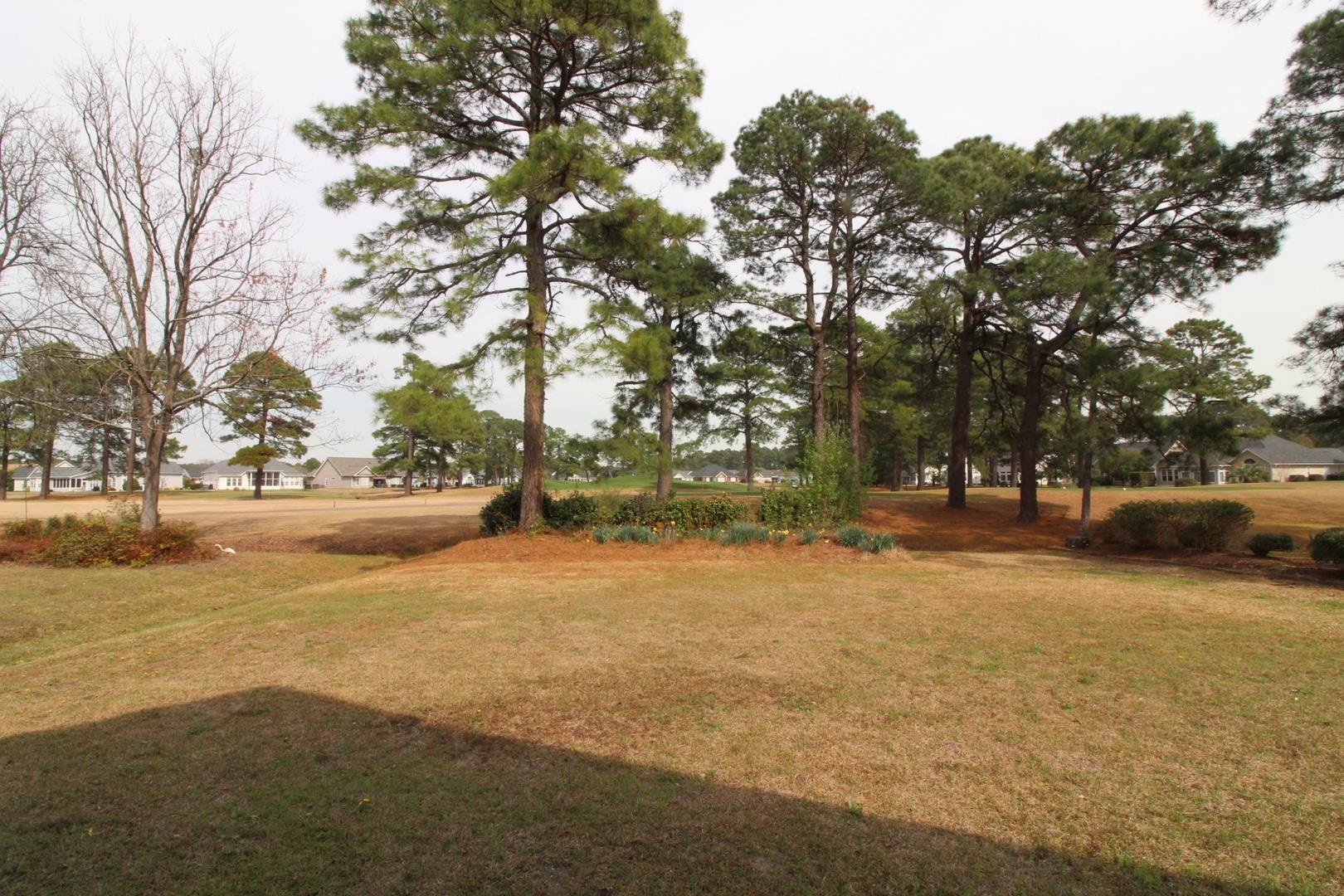 542 Sand Ridge Road Conway, SC 29526 - Photo 6 of 45